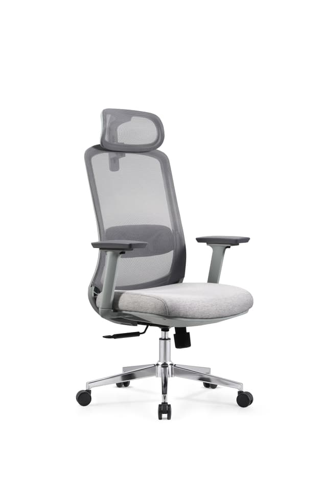 Skyland Executive office chair CH 125 grey